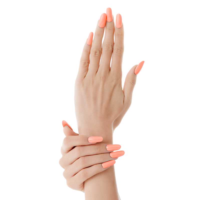 Rosa Baby Blush | TN009 Torrid Nails